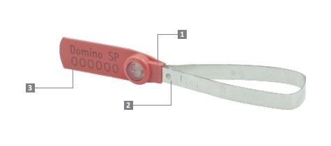 domino-sp-2