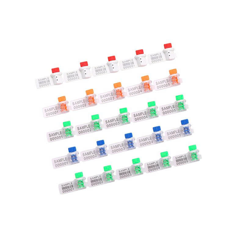 z7319292109927_d5d14782baf1fa8bc30ad9c6ff2b4cfd